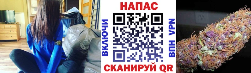 Цена Бор Марихуана  ГАШ 