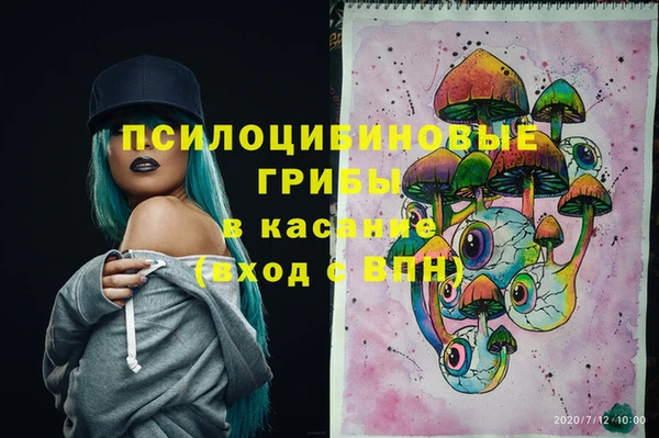 шишки Балахна