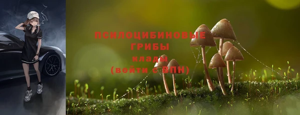 шишки Балахна